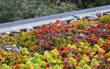the cost of New Stevenston green roof installation