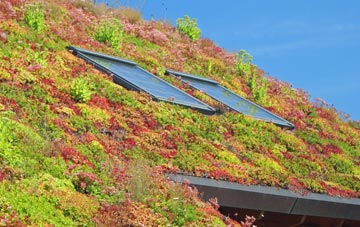 New Stevenston living roof systems
