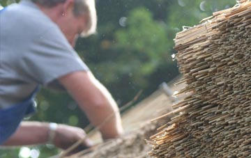 professional New Stevenston thatchers